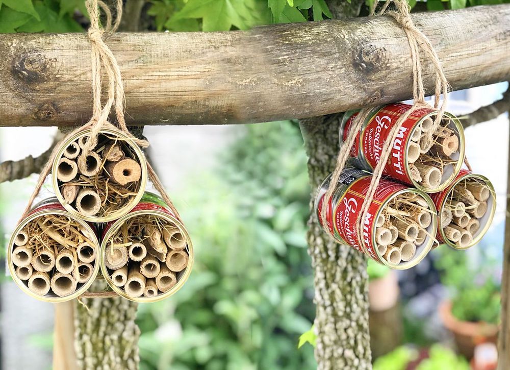 Ein Urlaub für Bienen