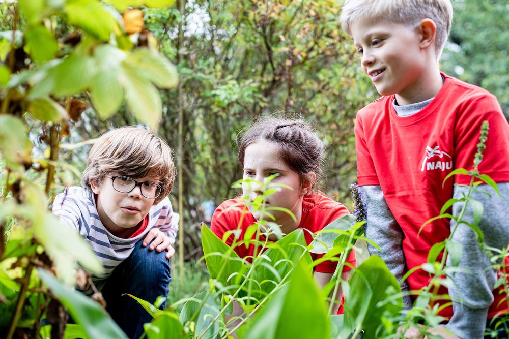 NAJU-Kinderwettbewerb „Erlebter Frühling“ startet