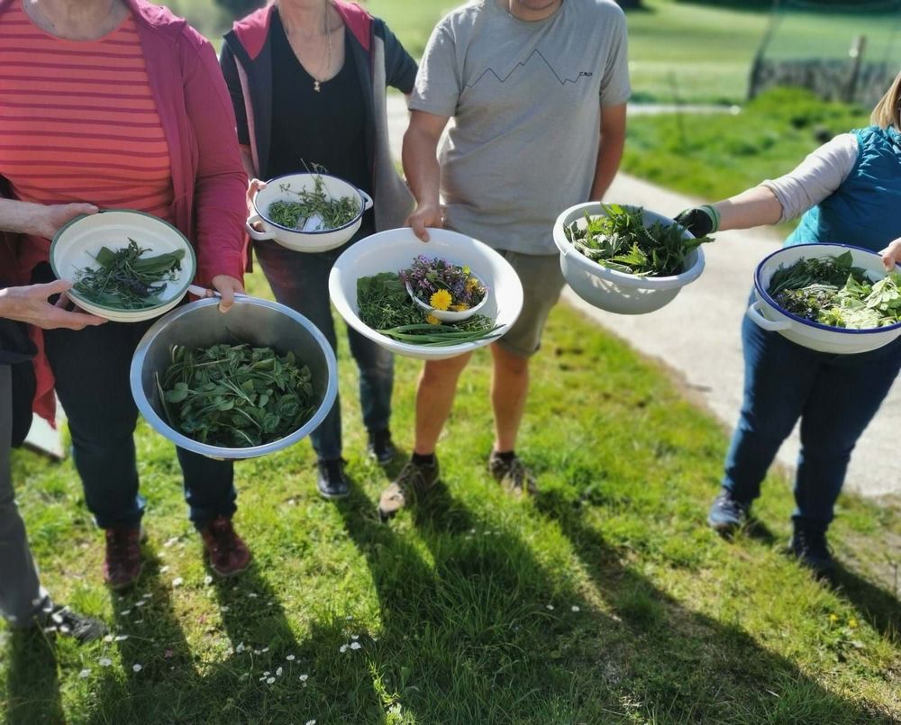 17 Tage lang Klimaschutz beim Klimafrühling Oberland