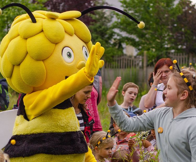 Artenschutz: 2023„nichts“ tun für die Insekten