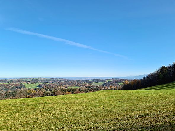 Der Vogelherd