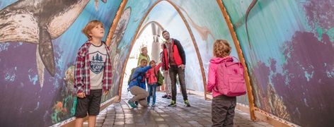 Tauch ein in die Urzeit – Bild 1 von 2