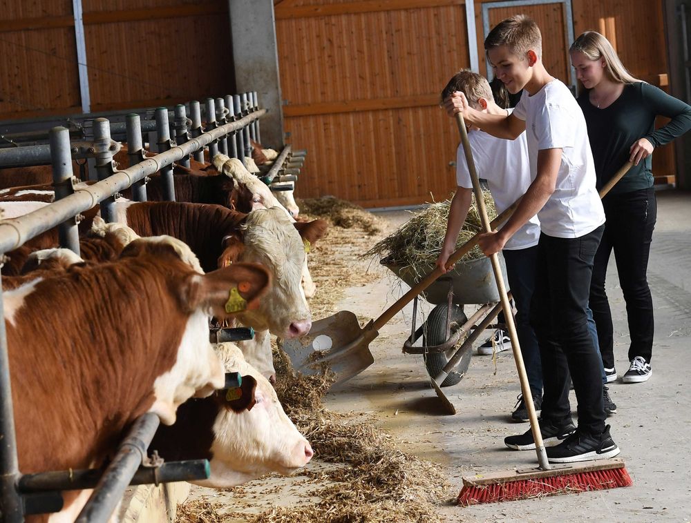 Heimat verstehen lernen - Erlebnis Bauernhof