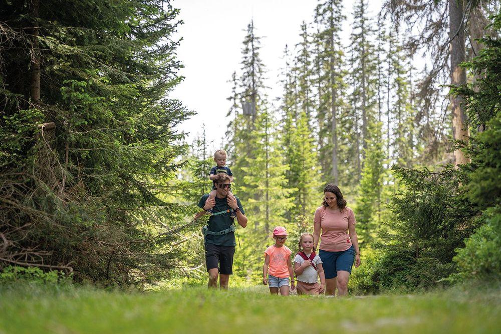 Filzmoos Tourismus – Bild 2 von 11