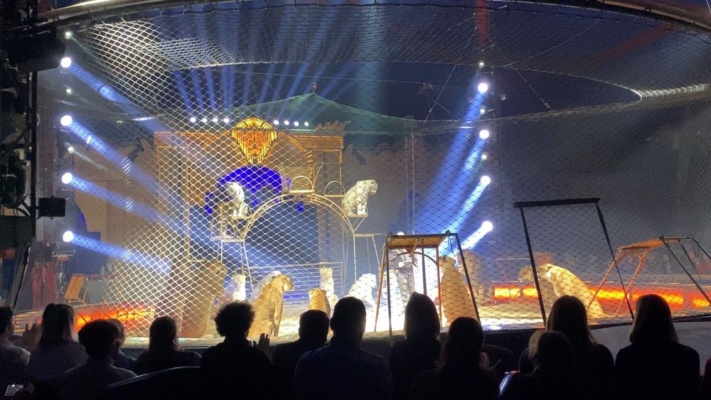 Circus Krone - Eine wahnsinns Premiere in Rosenheim – Bild 2 von 5