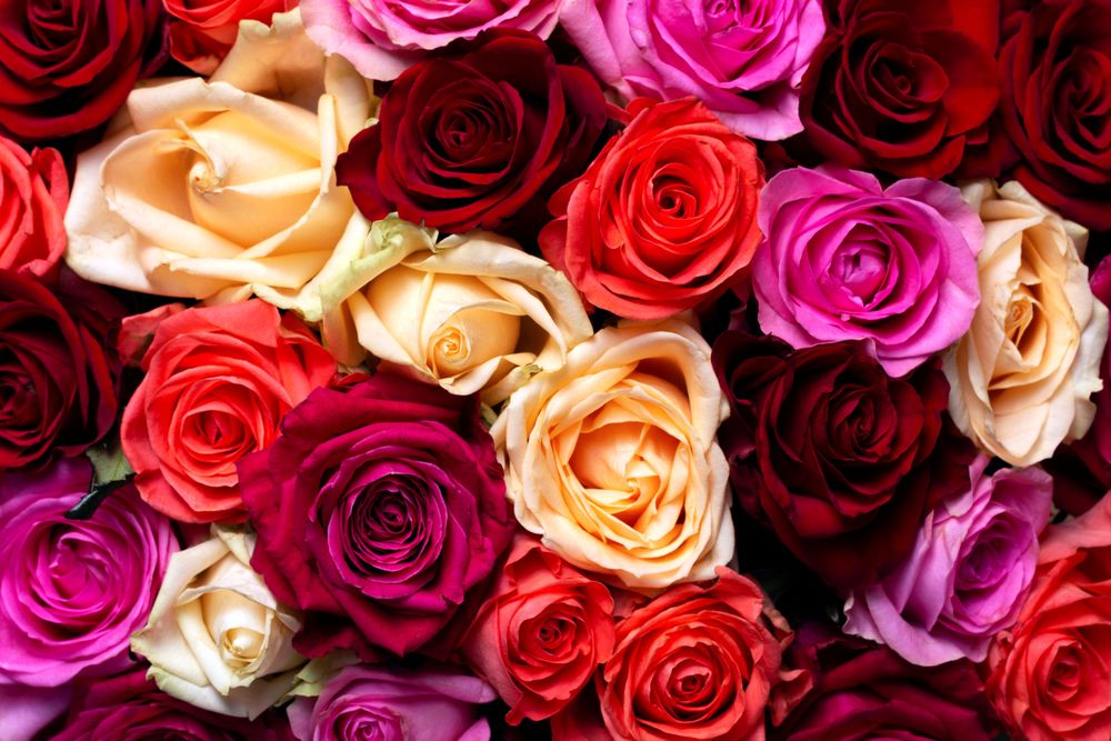 Valentinstag mit Kindern: Geht Romantik trotzdem?