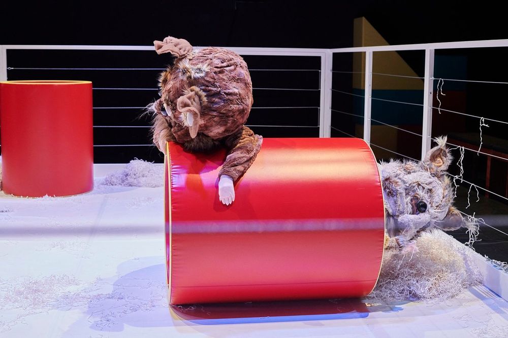 Das Online-Programm der Schauburg im Mai – Bild 2 von 3
