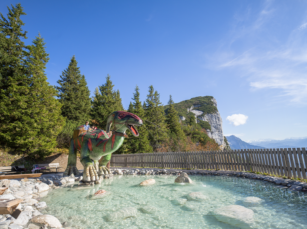 Steinplatte Waidring - Triassic Park – Bild 2 von 4