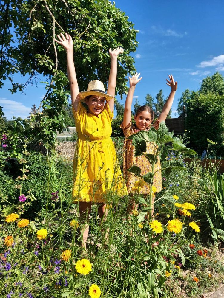 Wir suchen: Blühflächen für Insekten – Bild 1 von 3