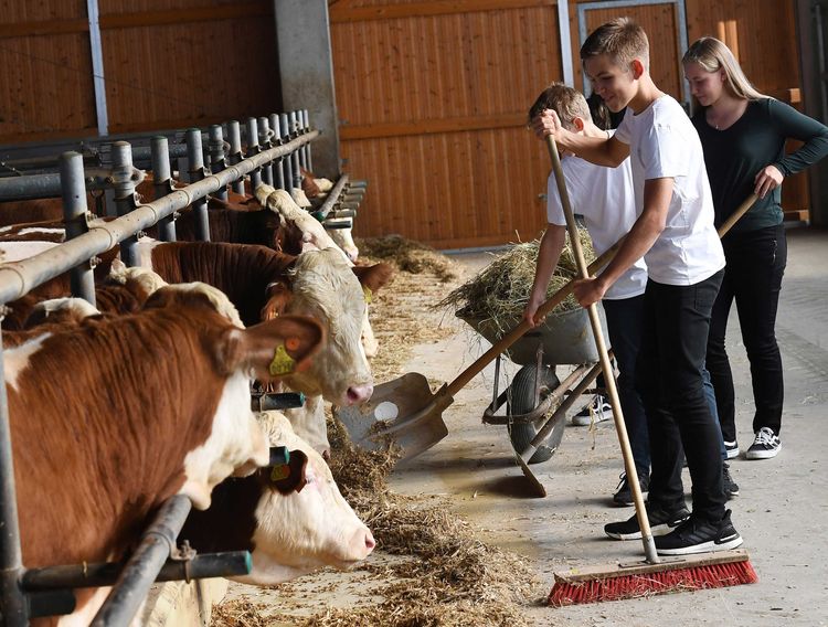 Heimat verstehen lernen - Erlebnis Bauernhof