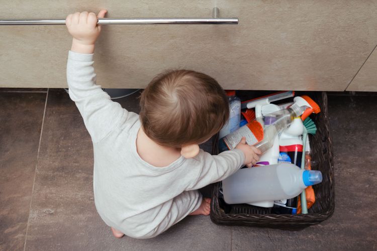 Achtung, giftig! So machen Eltern Haus und Garten kindersicher