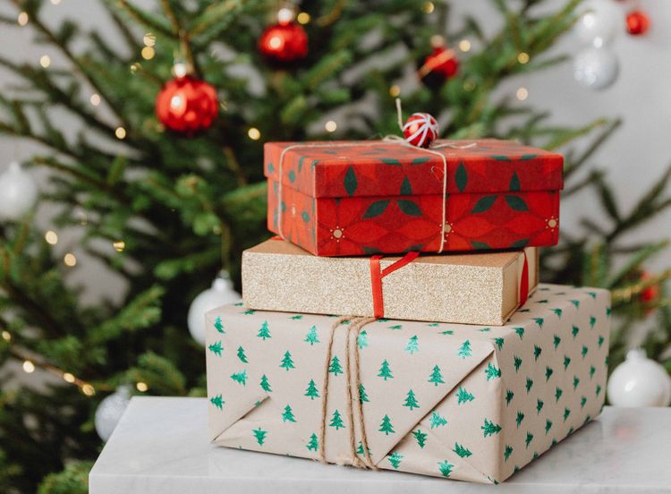 Zwergerls Geschenketipps 2024
